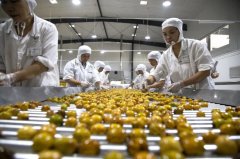 确保数据的精确实正在性