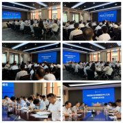 沉点对残留、荧光增白剂、二氧化硫、瘦肉精、